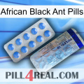 African Black Ant Pills 39